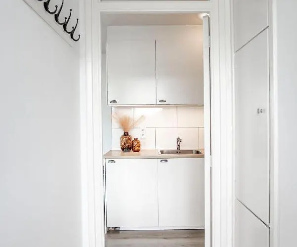 Papillon Flat زاندفورت