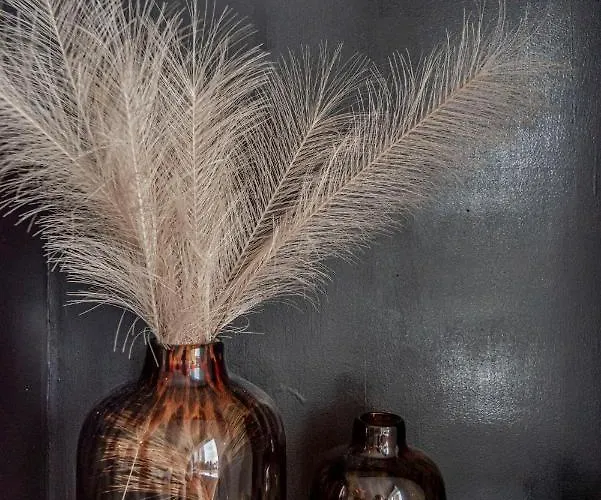 Papillon Flat زاندفورت