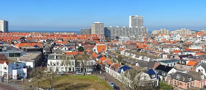 Papillon Flat زاندفورت