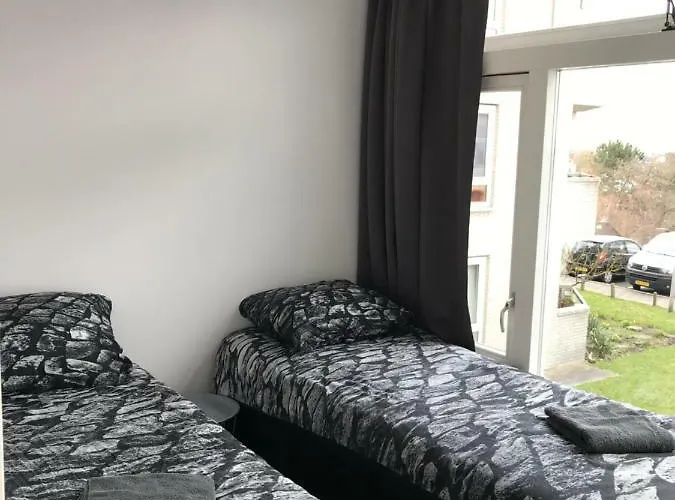 Papillon Flat زاندفورت