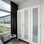 Papillon Flat