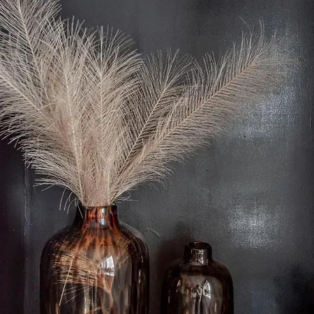 Papillon Flat Zandvoort